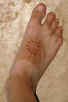 henna-foo2t.jpg (52712 bytes)