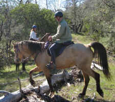 buckskin2.jpg (148166 bytes)