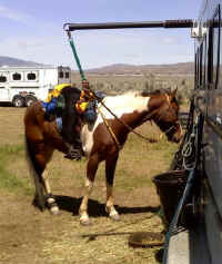 Washoe-Valley-lunch-Day1.jpg (34429 bytes)