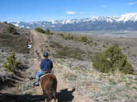 Washoe Valley 2010 425.jpg (147683 bytes)