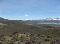 Washoe Valley 2010 519.jpg (90831 bytes)