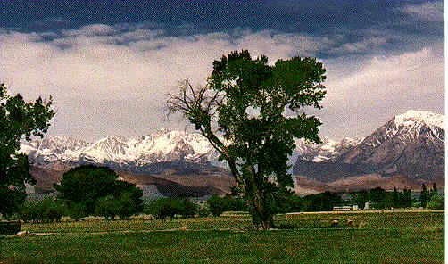 Looking 
back towards the Sierra outside Bishop